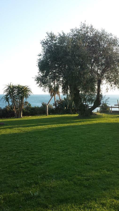 Agriturismo La Tuffatrice Imperia Exterior foto